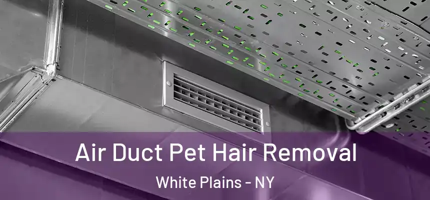  Air Duct Pet Hair Removal White Plains - NY