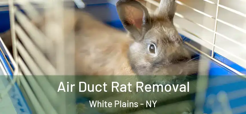  Air Duct Rat Removal White Plains - NY