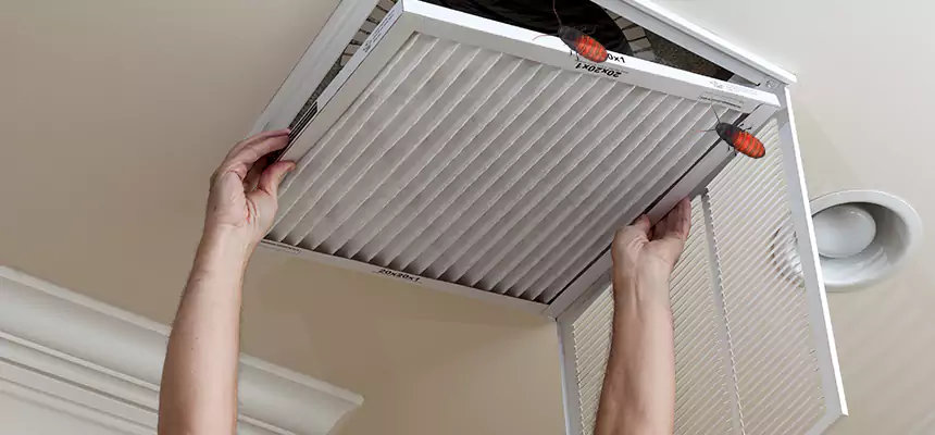 Our Insect Removal from Air Ducts Services in White Plains, NY