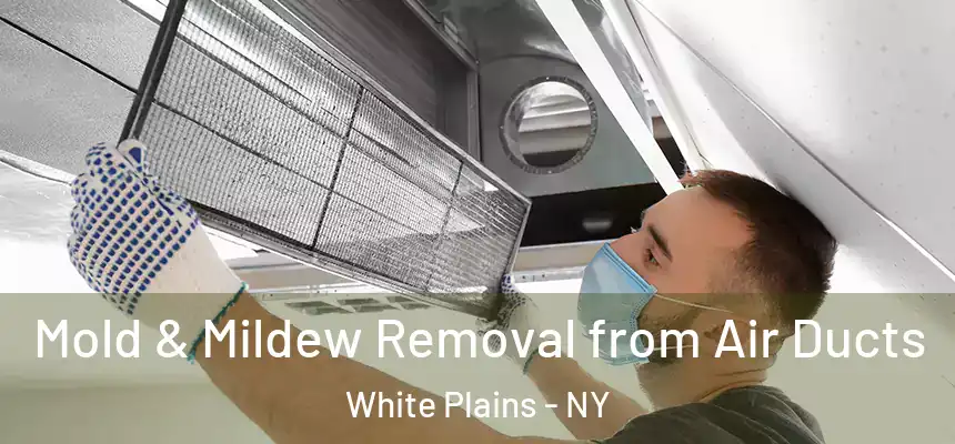  Mold & Mildew Removal from Air Ducts White Plains - NY