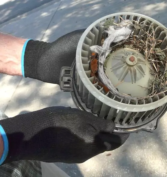 About Air Duct Rat Removal in White Plains, NY