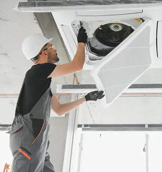 About Air Duct Rodent Removal in White Plains, NY