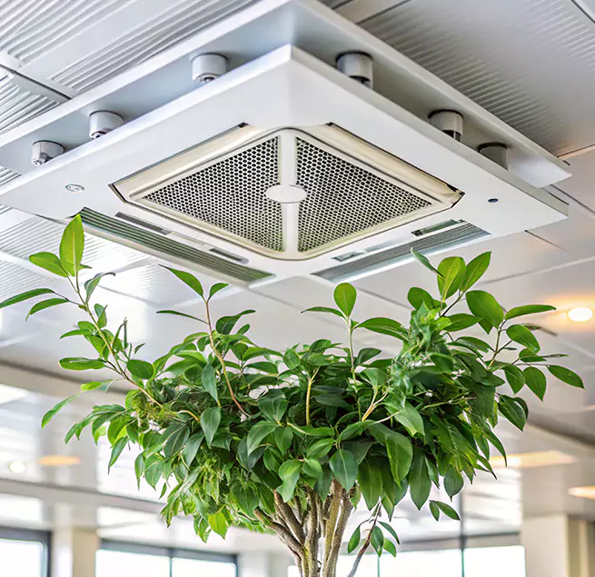 Why Homeowners & Businesses Trust Us in White Plains, NY?